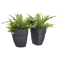 vibia campana flower twin 21cm anthracite